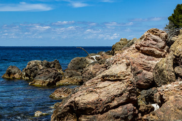 Fototapeta na wymiar View on the coast at bay Cala Tuent on balearic island Mallorca, Spain on a sunny day with clear blue water and rocky coastline