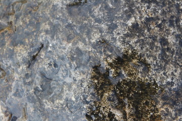 water Flowing Over Smooth Stones