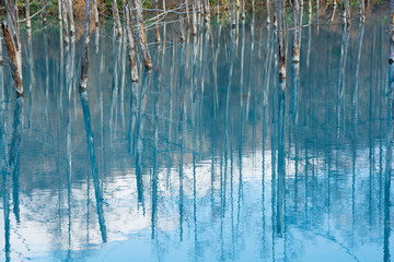 晩秋の湖　青い池　美瑛町