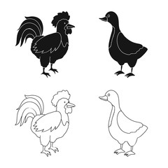 Vector illustration of breeding and kitchen icon. Collection of breeding and organic stock symbol for web.