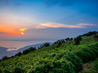 【静岡県伊豆半島】伊豆山稜線歩道からの夕景【夏・だるま山周辺】