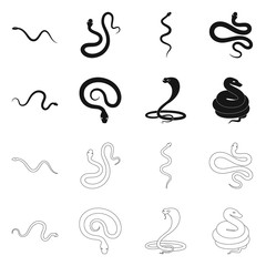 Vector illustration of mammal and danger symbol. Set of mammal and medicine stock symbol for web.