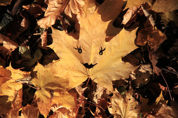 Golden autumn. Maple leaf with a cheerful smiley (painted smile) in a heap of autumn dry leaves. Autumn forest landscape and background