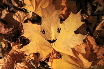 Golden autumn. Maple leaf with a cheerful smiley (painted smile) in a heap of autumn dry leaves. Autumn forest landscape and background