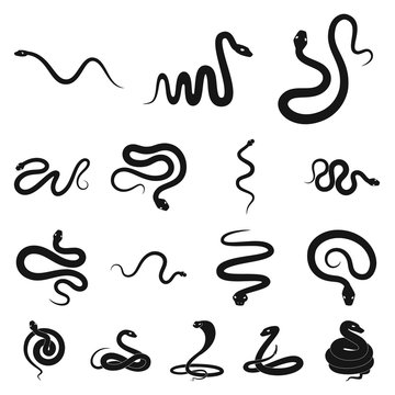Vector design of nature and medicine logo. Collection of nature and evil vector icon for stock.
