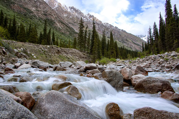 View of a mountain river between hills covered with coniferous forests against the sky with clouds....