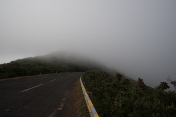 madeira island portugal, nature,