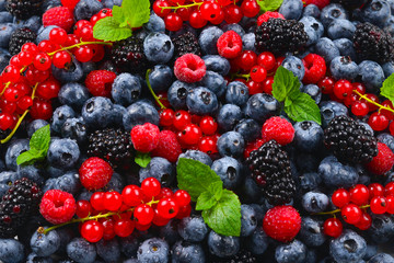 Blackberry, raspberry, blueberry,  red currant and mint background.