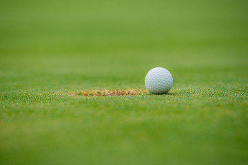 white golf ball near hole on fairway with the green background in the country side