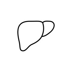 liver linear icon isolated pictogram human internal organ, symbol