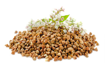 Buckwheat plant with white flowers and seeds. Buckwheat plant white blossom. Buckwheat seeds and fresh flowers isolated on white background. Buckwheat flower isolated on white.