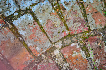 brick wood nature old green blue