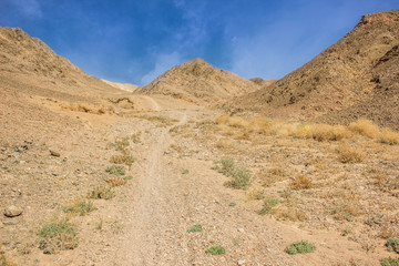 desert mountain sand stone dunes wilderness and dangerous beautiful dry scenery landscape in Israeli Middle East region of Earth 