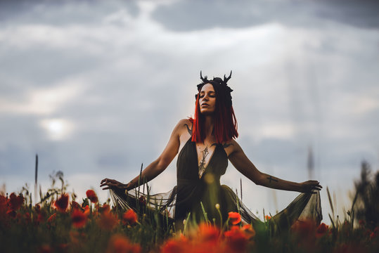 T&auml;towiertes Model (Maleficent) im Mohnblumenfeld