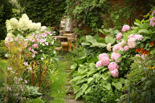 formal garden with hydrangea flowers, gladiolus, flox and wood store summer green photo