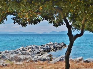 Obraz na płótnie Canvas Meeresufer bei Volos, Griechenland