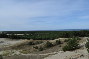 beach in Curonian Spit National Park