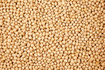 soybean beans background, seeds food raw material,delicious dishes seed bean agricultural product - obrazy, fototapety, plakaty