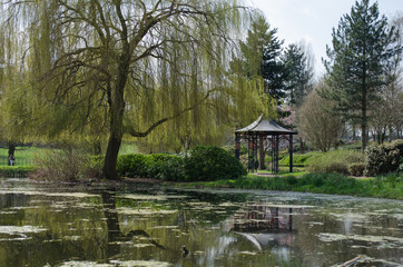Obraz premium Pagoda In The Park
