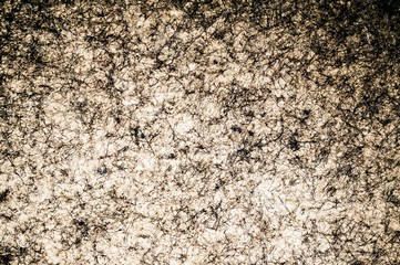Gray material abstract background. carpet texture