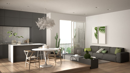 Eco green interior design, white and gray living room with sofa, kitchen, dining table, succulent potted plants, parquet floor, window on panoramic balcony. Sustainable architecture