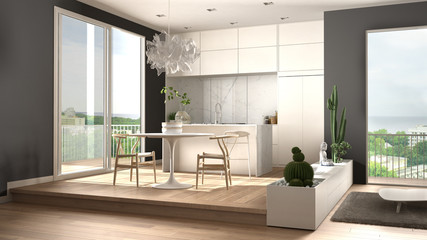 Eco green interior design, white and gray living room with sofa, kitchen, dining table, succulent potted plants, parquet floor, window on panoramic balcony. Sustainable architecture