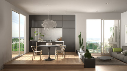 Eco green interior design, white and gray living room with sofa, kitchen with dining table, succulent potted plants, parquet floor, window, panoramic balcony. Sustainable architecture