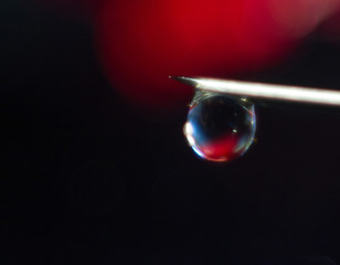 A drop flows down from the end of the needle macro photo