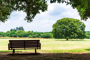 木陰のベンチ