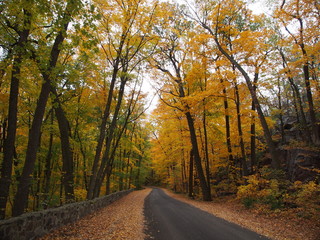 Obraz premium マディソン