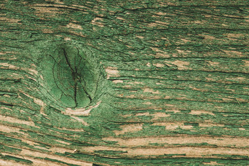 Abstract wood texture with peeling paint. green wooden backdrop. shabby painted wood © maxkolmeto
