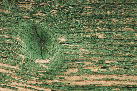 Abstract wood texture with peeling paint. green wooden backdrop. shabby painted wood