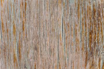 A fragment of old plywood. Cracks, scuffs. Background