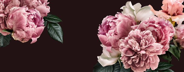 Blumenbanner, Blumenabdeckung oder Header mit Vintage-Blumensträußen. Rosa Pfingstrosen, weiße Rosen auf schwarzem Hintergrund isoliert.