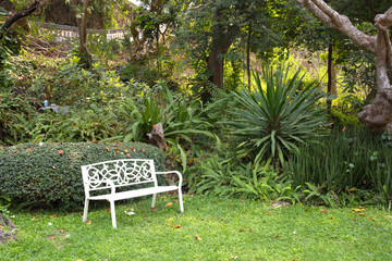 White chair stand alone in green garden for relaxing