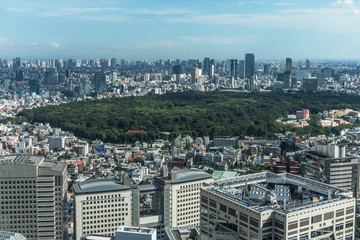 Fototapeta premium 東京、新宿の風景 Building group of shinjuku, Tokyo, Japan