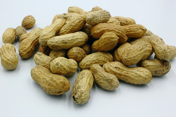 peanuts in shell