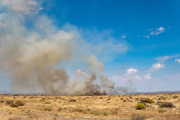 Desert Field on fire