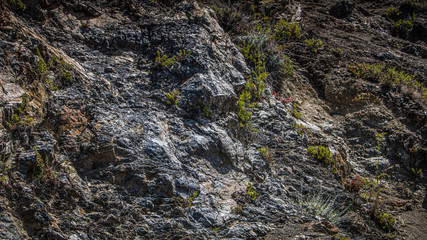 Big Sur Road Mountain view