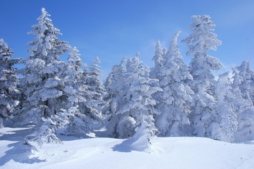雪山