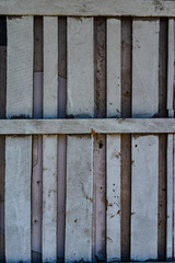 Bonded wooden blocks as background and texture.