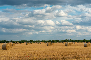 Cheerful autumn scene with round bales of straw on a mown cereal field