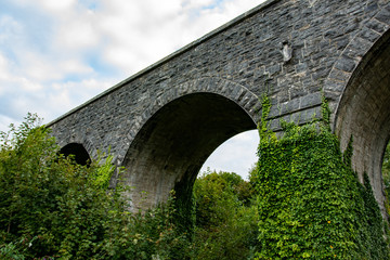 Fototapeta na wymiar Rail bridge arch with beautiful green plant under a summer cloudy sky