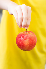 Red apples in the hands of a child