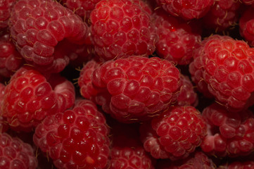 Fresh raspberry close up. ripe raspberries. red berry background