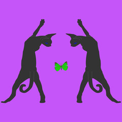 Two Canadian sphinxes on their hind legs in mirror reflection look at a green butterfly on a purple background