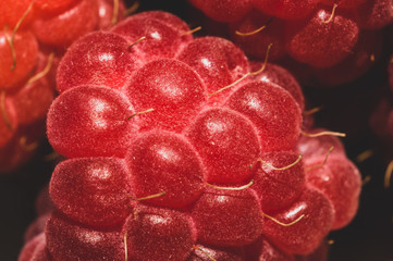Fresh raspberry close up. ripe raspberries. red berry background