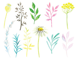 Fototapeta na wymiar set of vector watercolor flowers