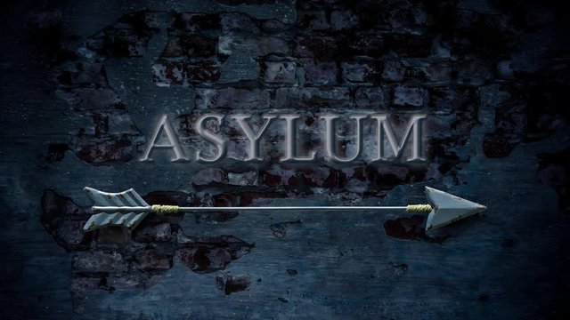 Sign 411 - Asylum