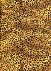 Leopard skin